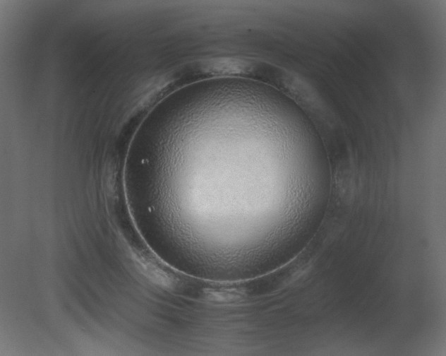 X0000081290359200701111404