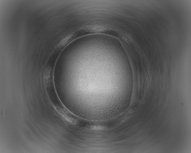X0000081290360200701111404
