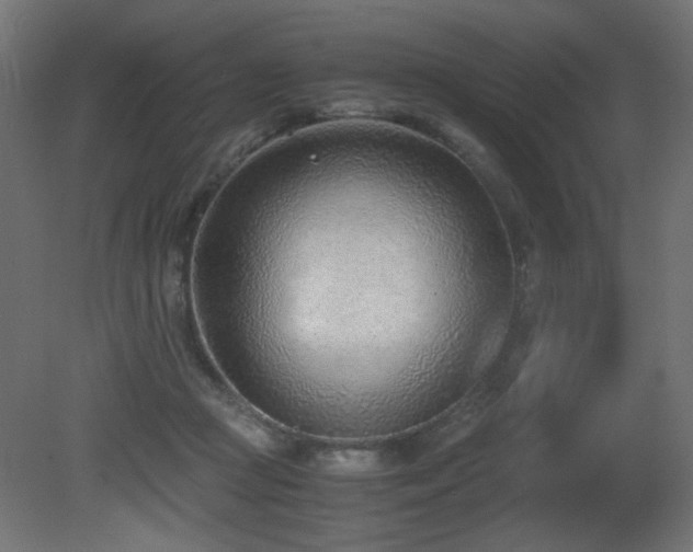 X0000081290361200701111404