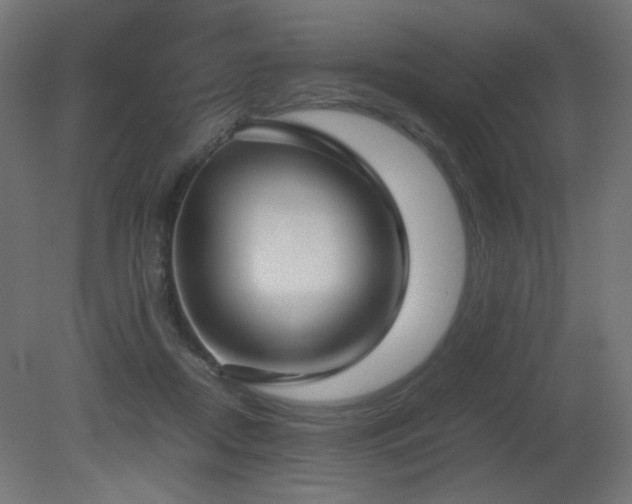 X0000081290362200701111404