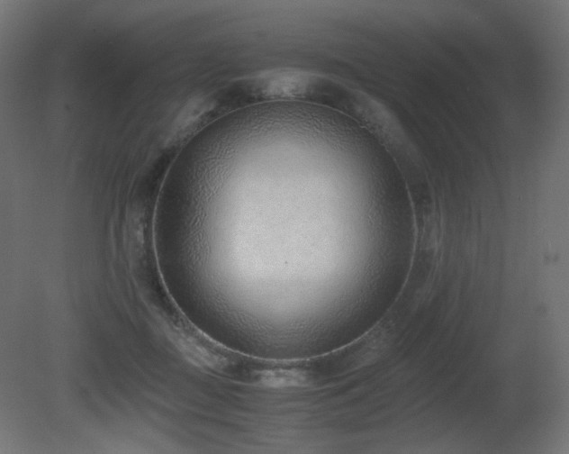 X0000081290363200701111404