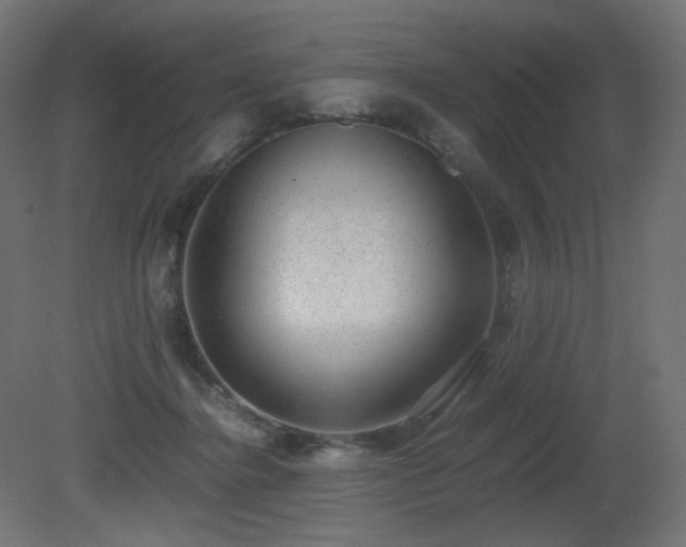 X0000081290364200701111405