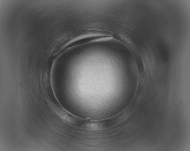 X0000081290365200701111405