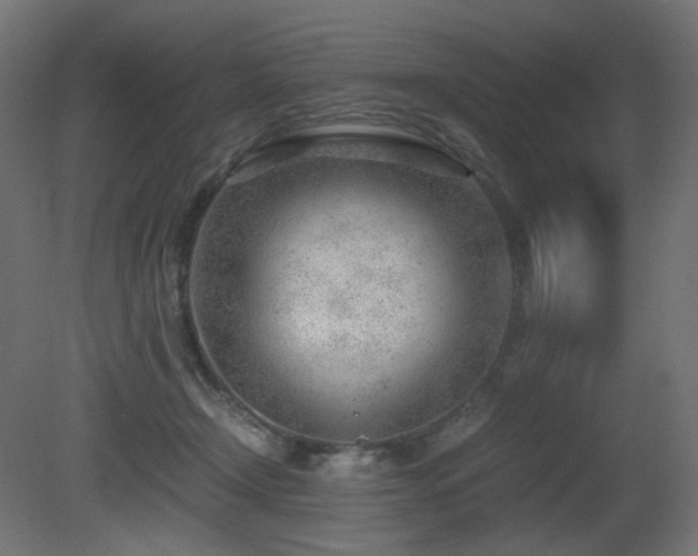 X0000081290366200701111405