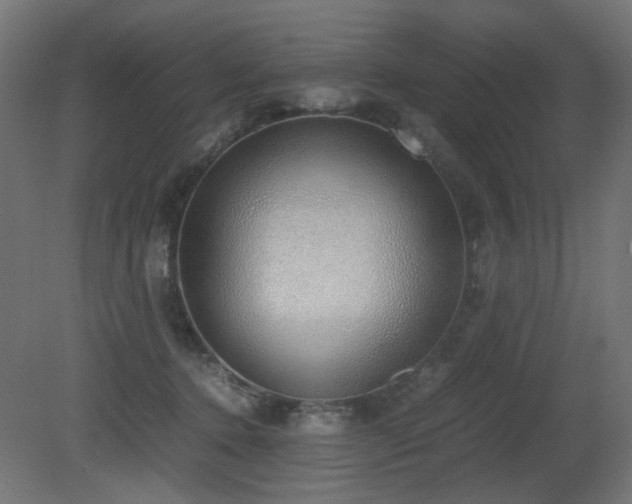 X0000081290368200701111405