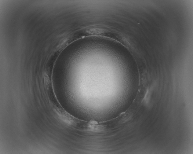 X0000081290371200701111405