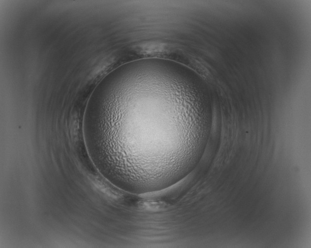 X0000081290372200701111405