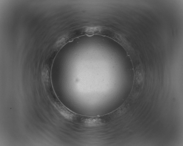 X0000081290375200701111405