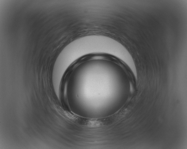 X0000081290376200701111405