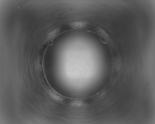 X0000081290377200701111405