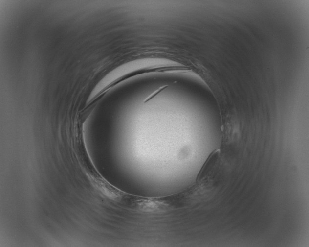 X0000081290379200701111405