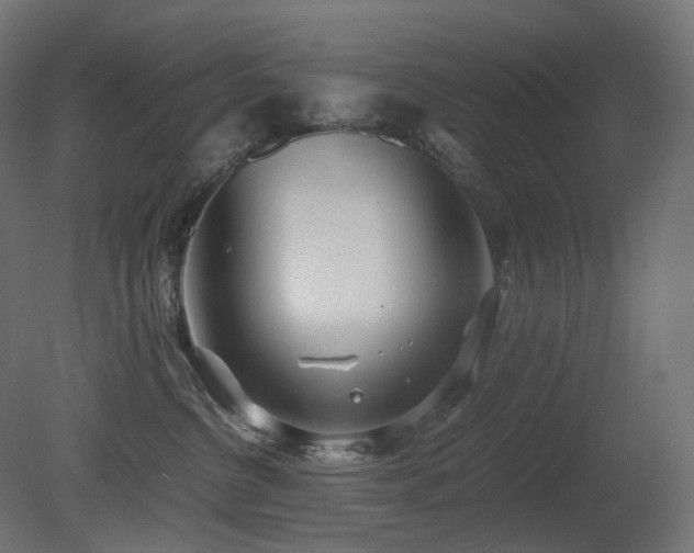 X0000081290380200701111405
