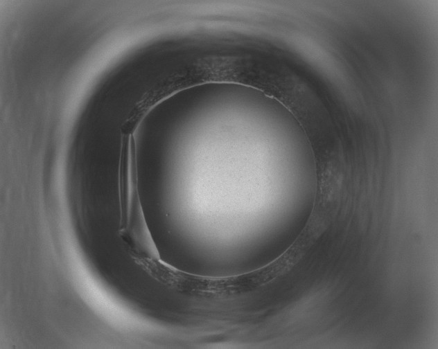 X0000081290383200701111405