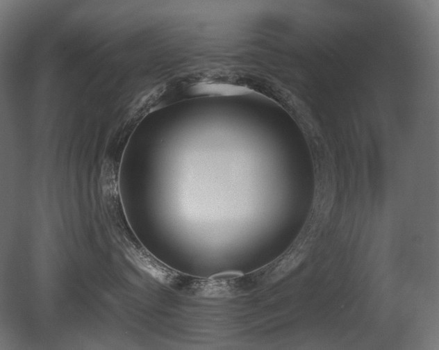 X0000081290384200701111405