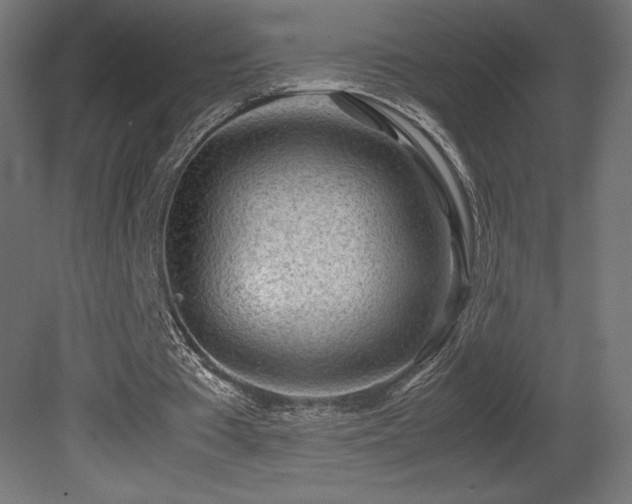 X0000081290385200701111404