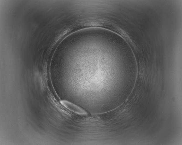 X0000081290386200701111404