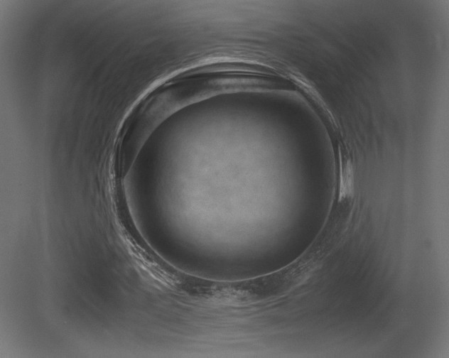 X0000081290387200701111404