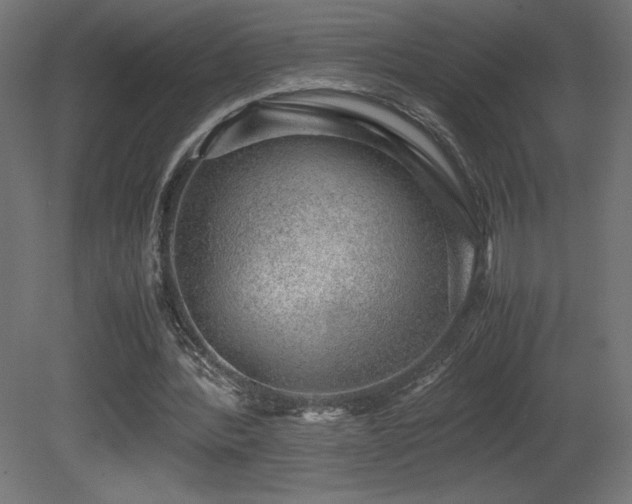 X0000081290388200701111404