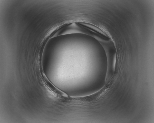X0000081290389200701111404