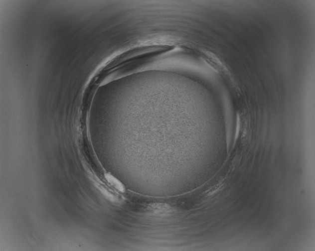 X0000081290392200701111404