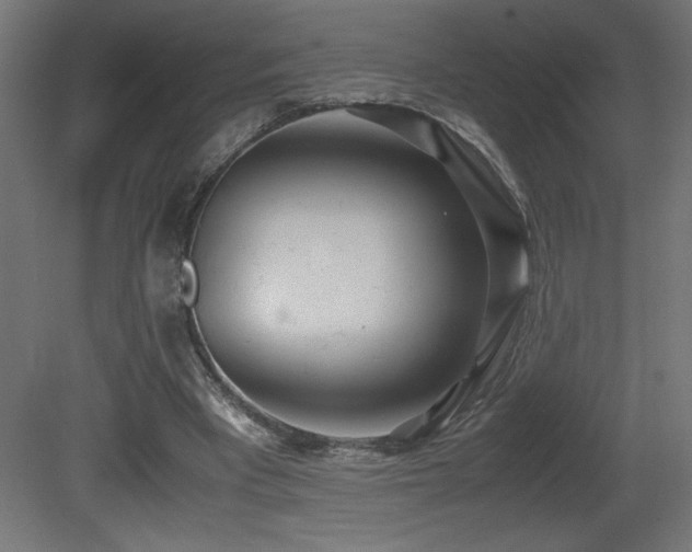 X0000081290393200701111404