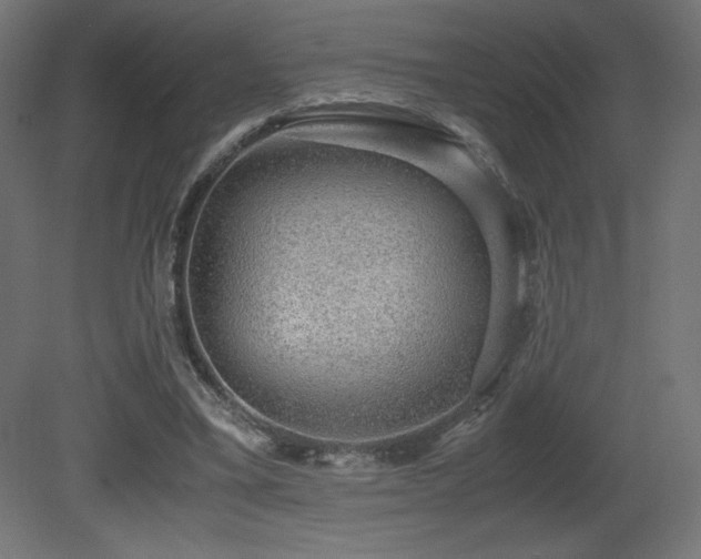 X0000081290395200701111404