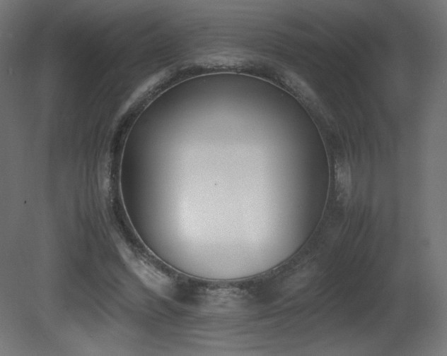 X0000081290396200701111404