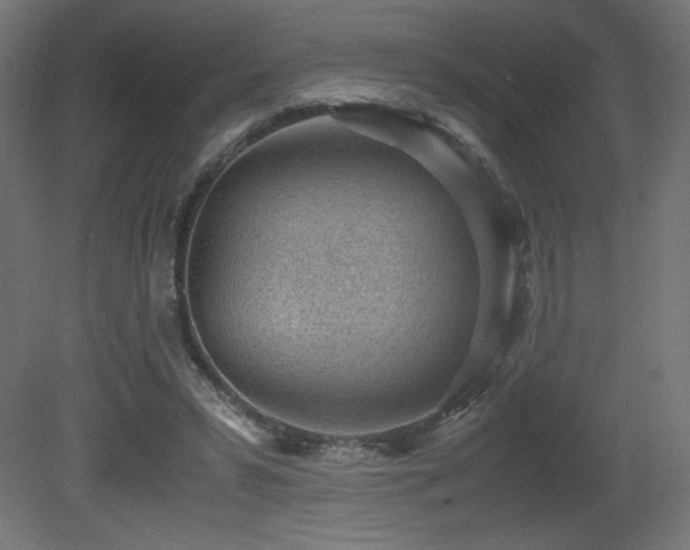 X0000081290399200701111404