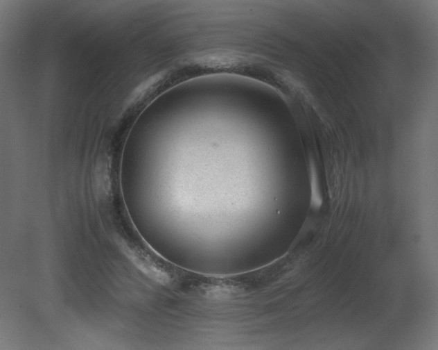 X0000081290400200701111404