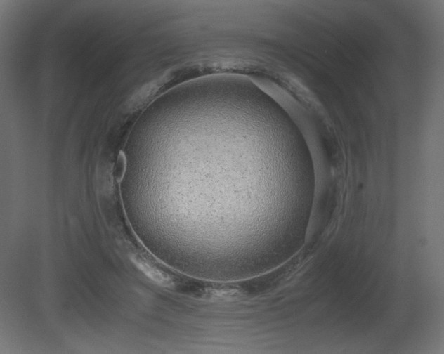 X0000081290401200701111404