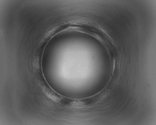 X0000081290403200701111404