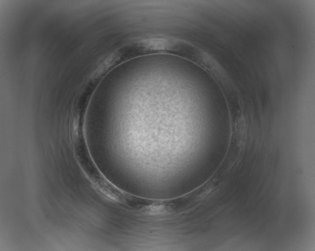 X0000081290406200701111404