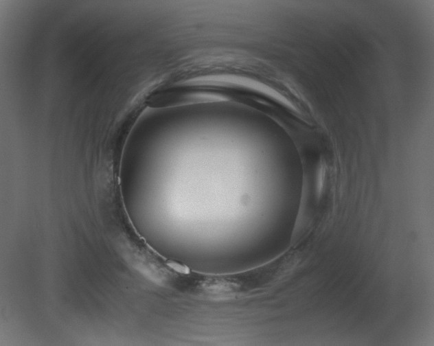 X0000081290407200701111404