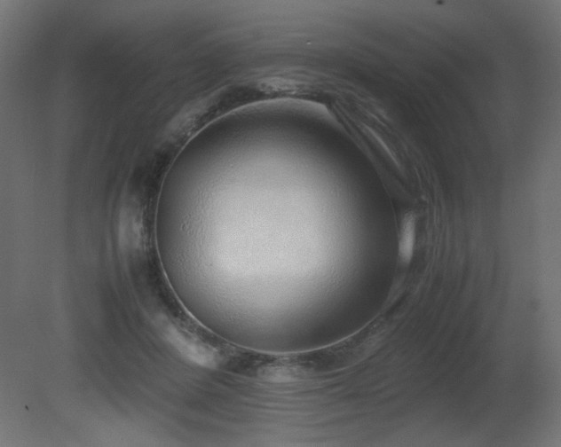 X0000081290408200701111404