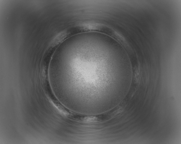 X0000081290410200701111404