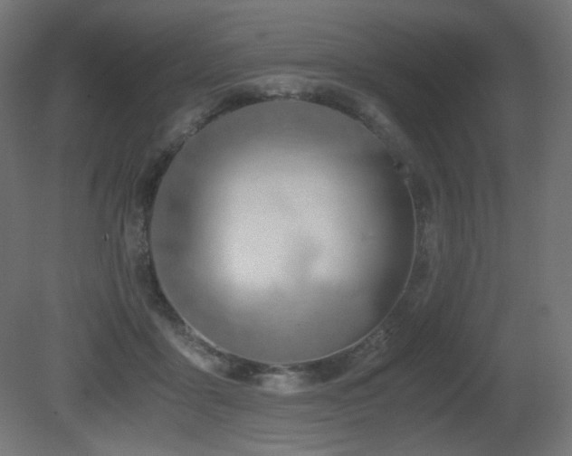 X0000081290411200701111404