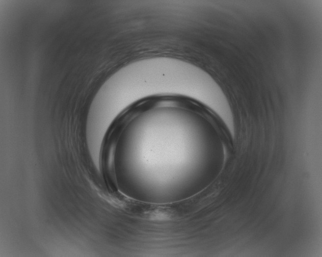 X0000081290412200701111404