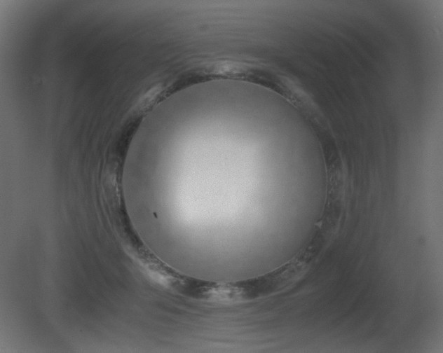 X0000081290415200701111404