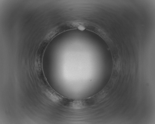 X0000081290418200701111403