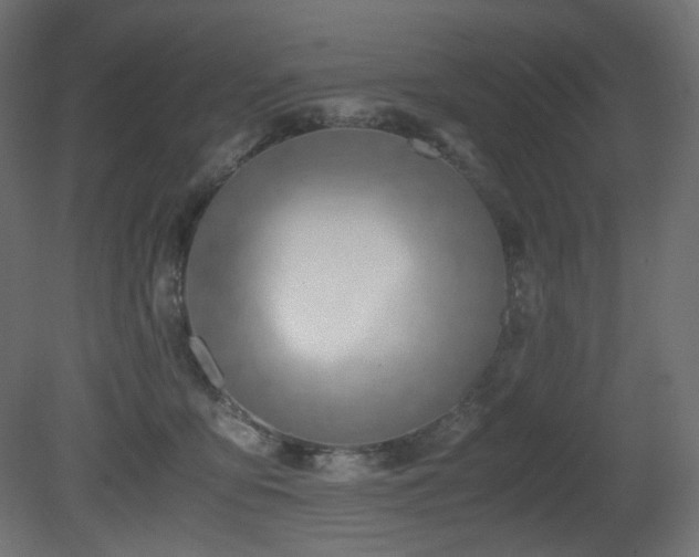 X0000081290419200701111403