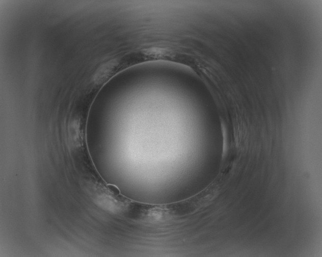 X0000081290420200701111403