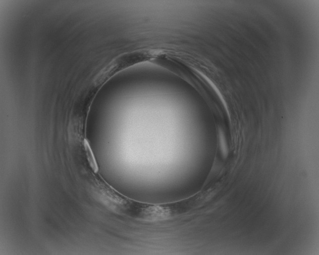 X0000081290421200701111403
