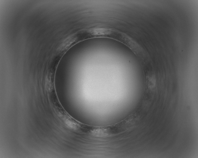 X0000081290422200701111403