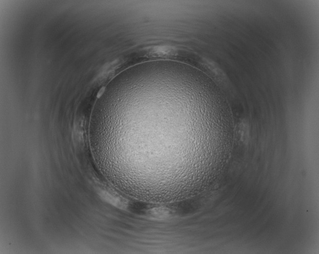 X0000081290423200701111403