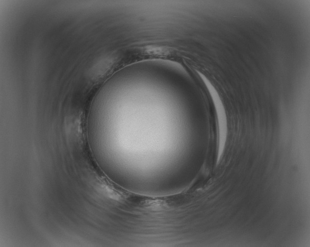 X0000081290424200701111403