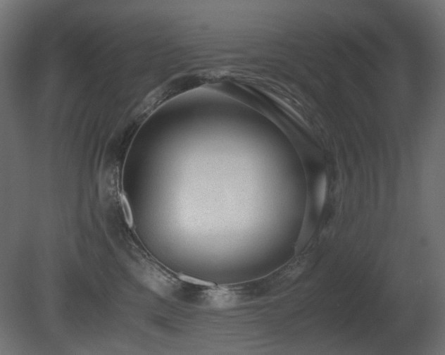 X0000081290425200701111403