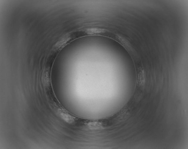 X0000081290426200701111403