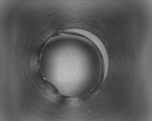 X0000081290428200701111403
