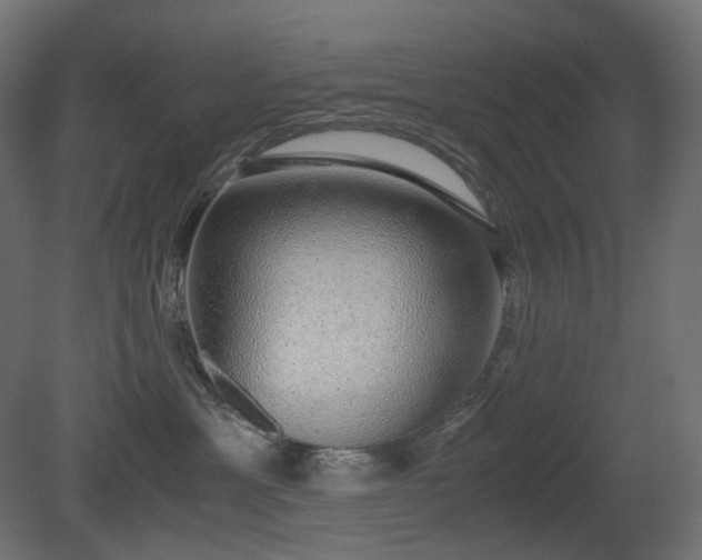 X0000081290429200701111403