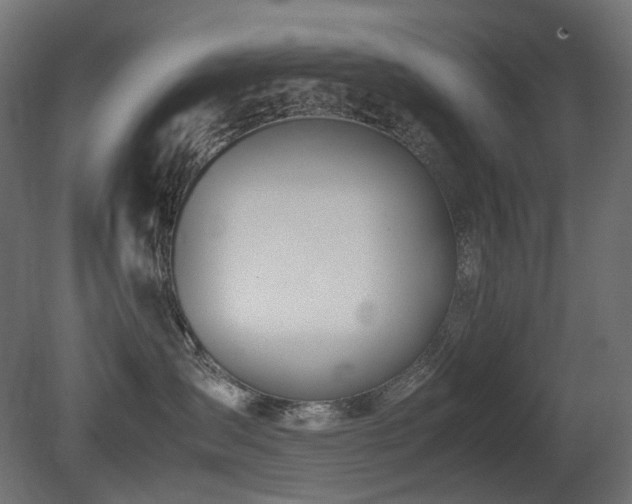 X0000081290431200701111403